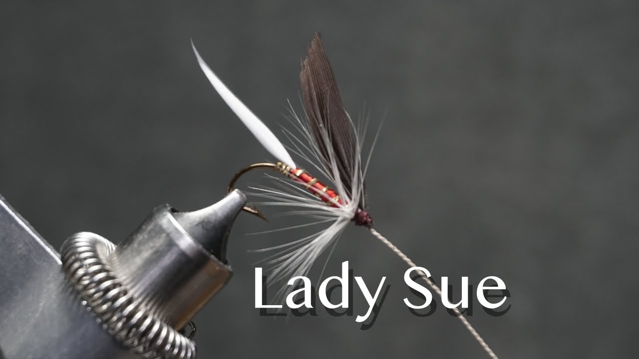 Lady Sue: a trout fly pattern from Favorite Flies and Their Histories (1892) by Mary Orvis Marbury