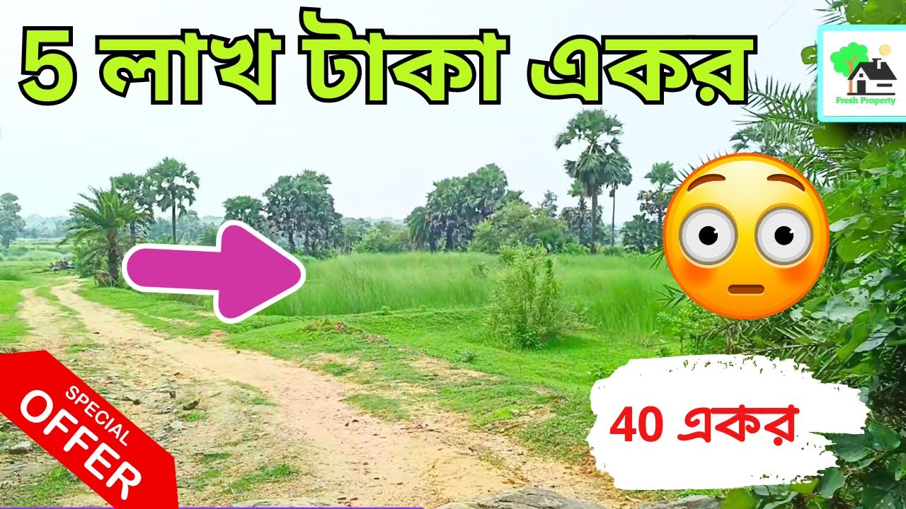 Fp - 938 | সবচেয়ে সস্তা দামে জমি কিনুন | Low price agriculture land sale | 9073145145 |FreshProeprty