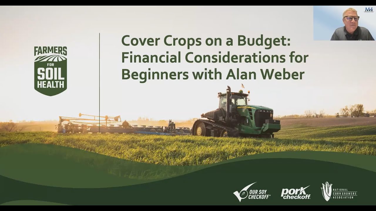 Cover Crops on a Budget: Financial Considerations for Beginners