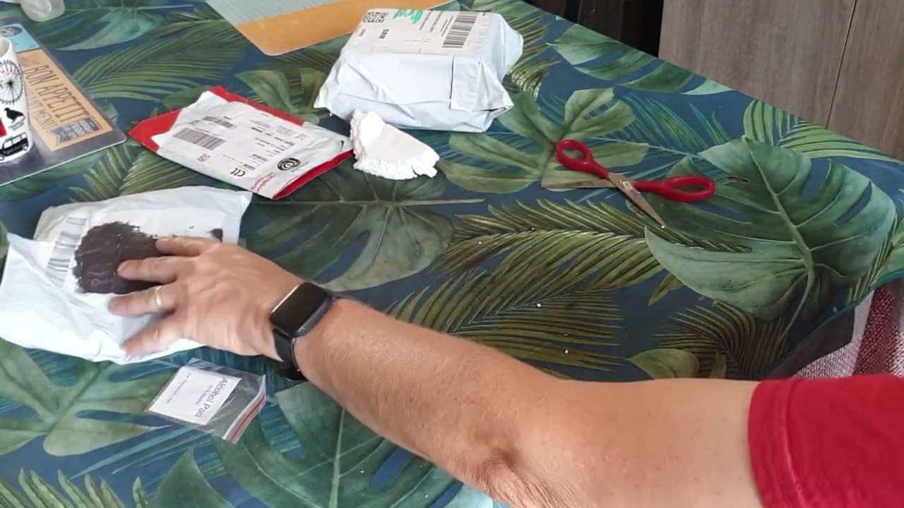 coli perdu