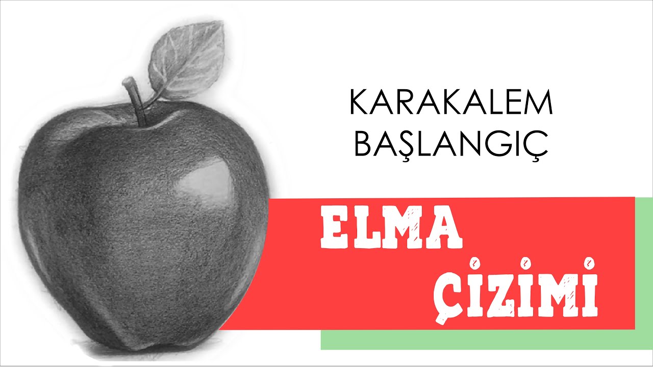 Kolay Elma Çizimi, Karakalem, Basit Çizim
