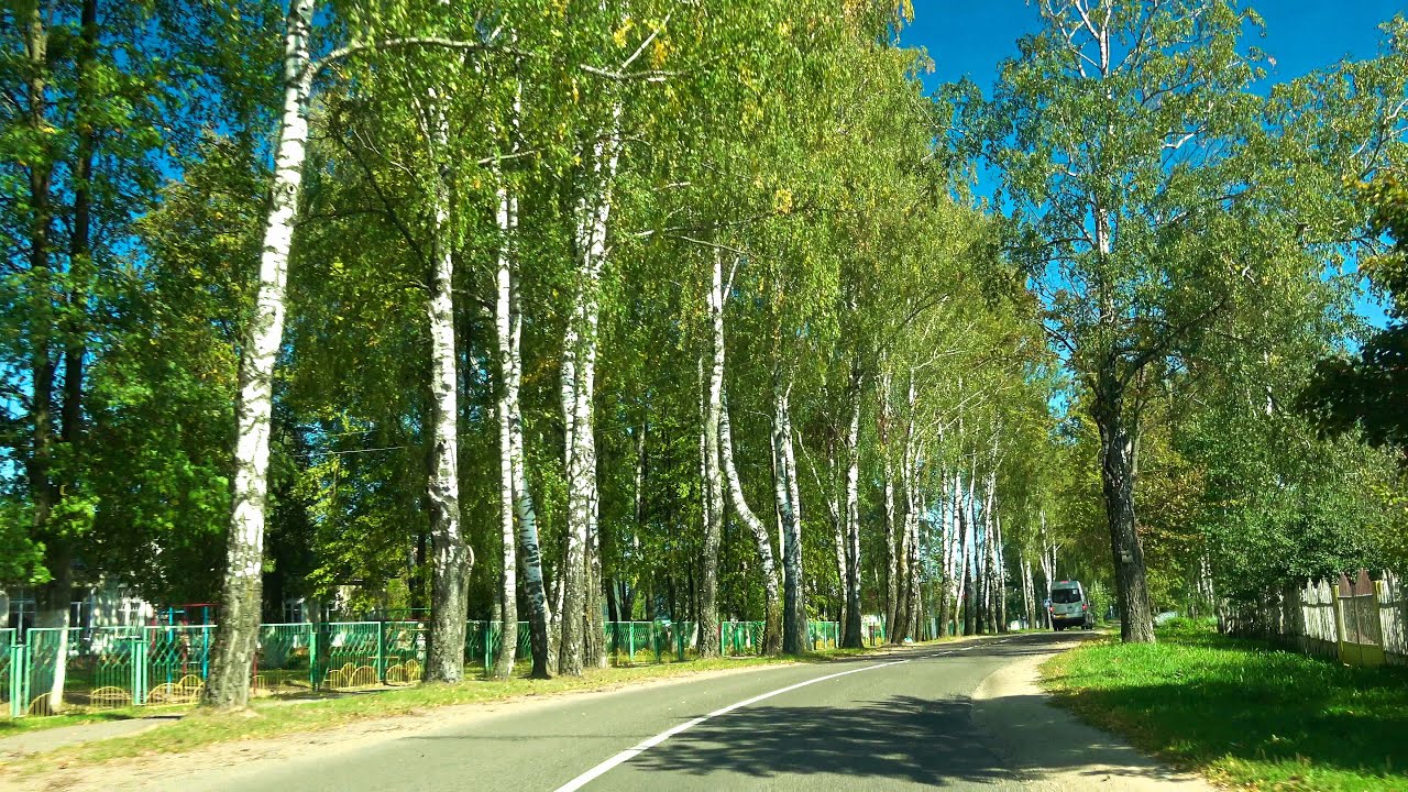 Поездка по деревне Лужесно, Тетёрки, Верховье, Руба 2023