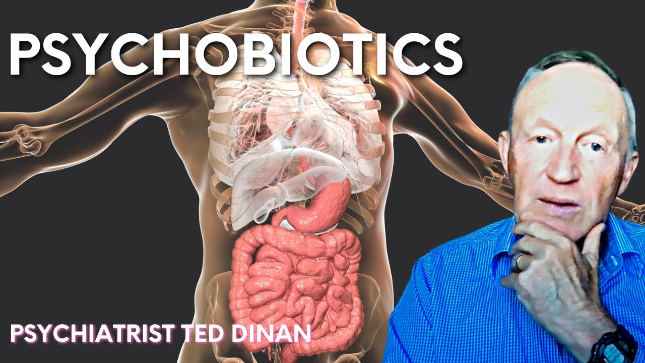 Looking to the gut for alternatives to antidepressants – Psychiatrist Ted Dinan