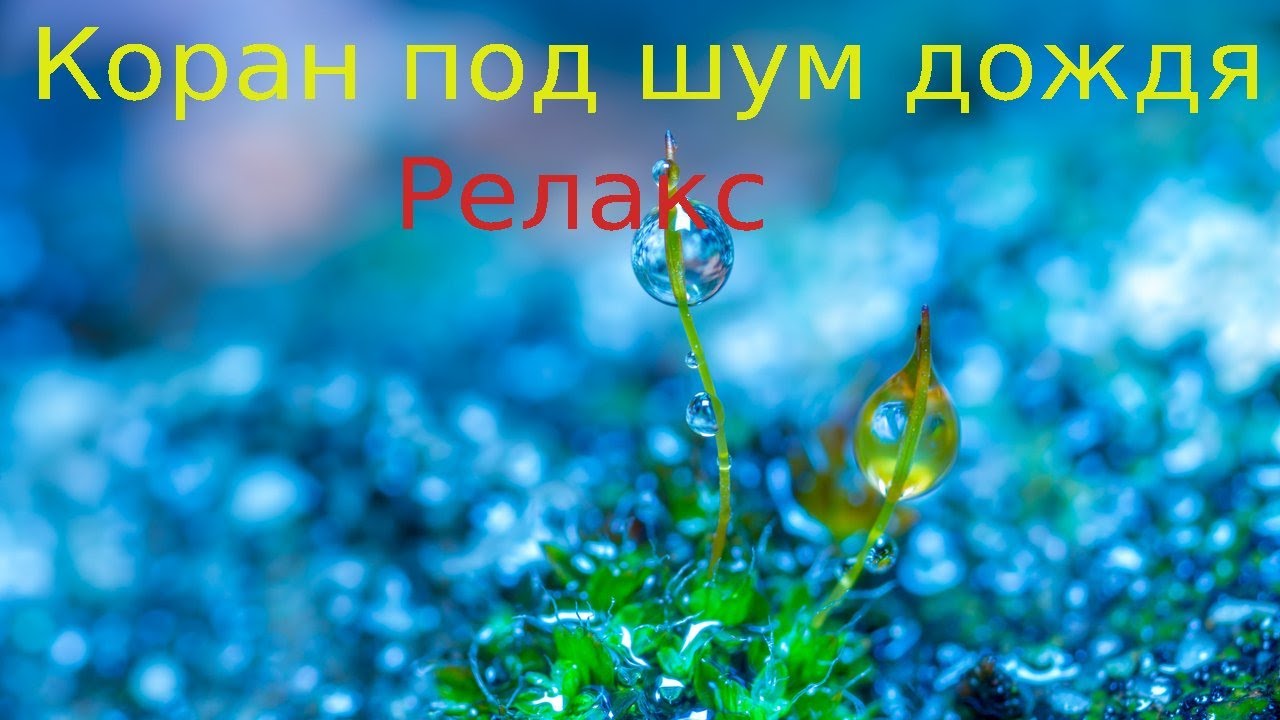 Красивое Чтение Корана Под Шум Дождя