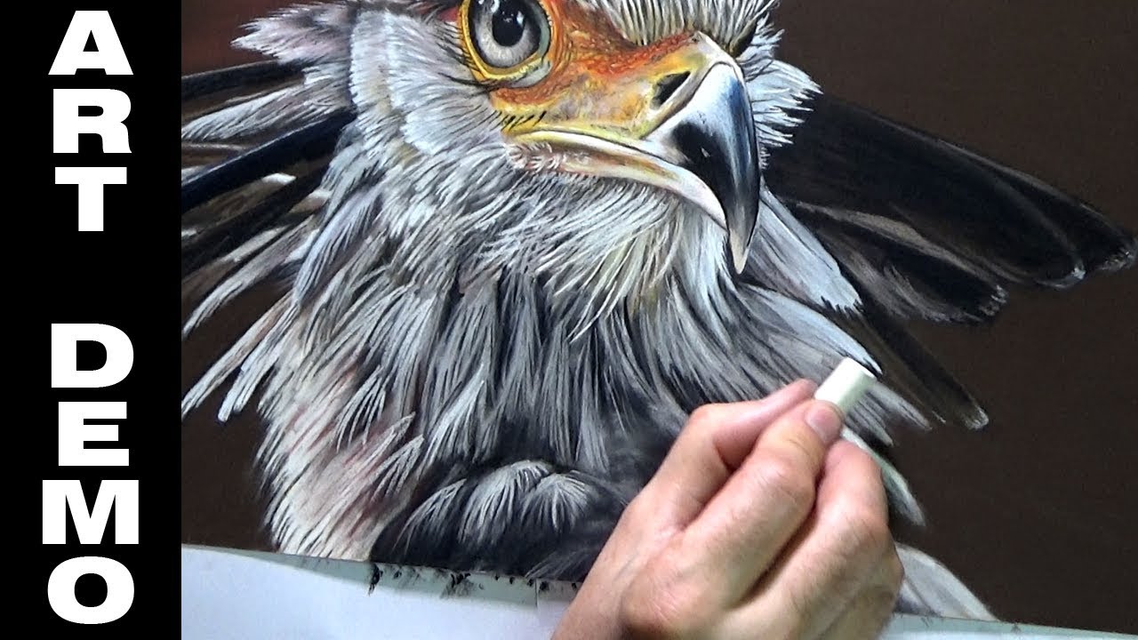 Secretary bird in Pastels time-lapse painting demo