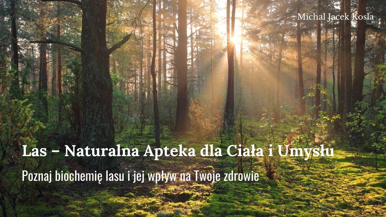 Dlaczego las nie uspokaja &bdquo;sam z siebie&rdquo;