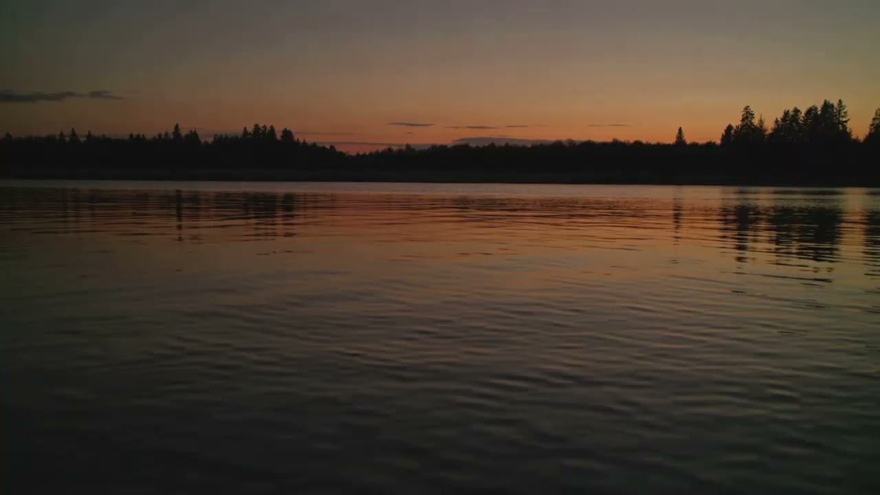 Sacral Chakra — Flow & Creative Lofi for Calm Focus | Starlit Station 🌙