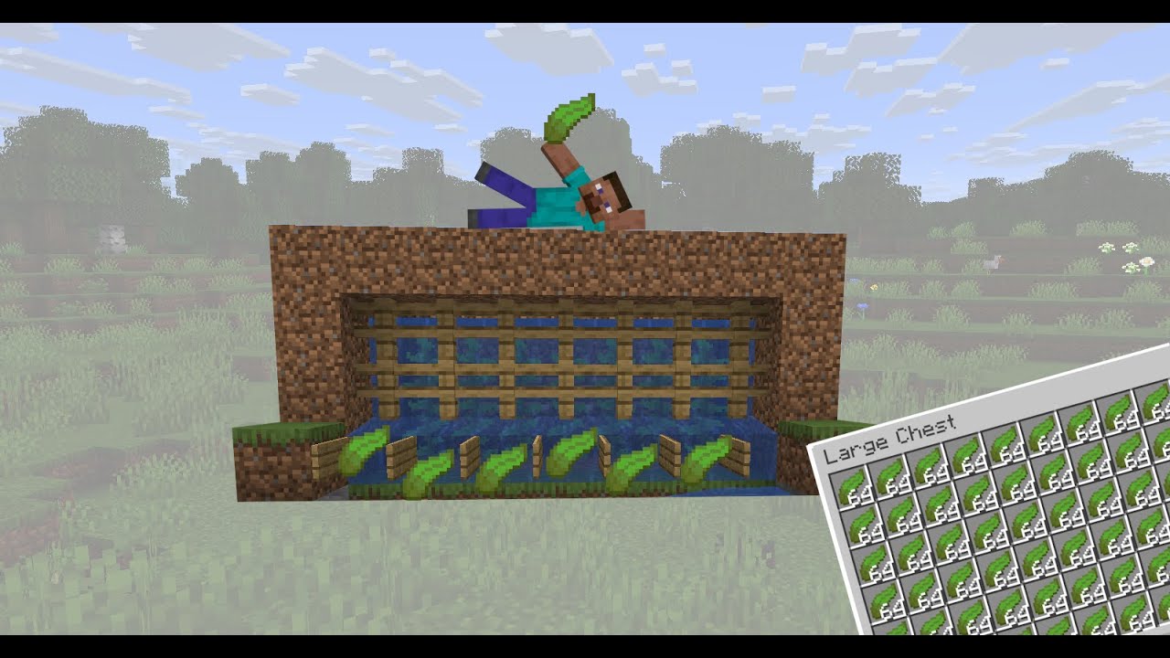 Minecraft early automatic kelp farm tutorial, no observer