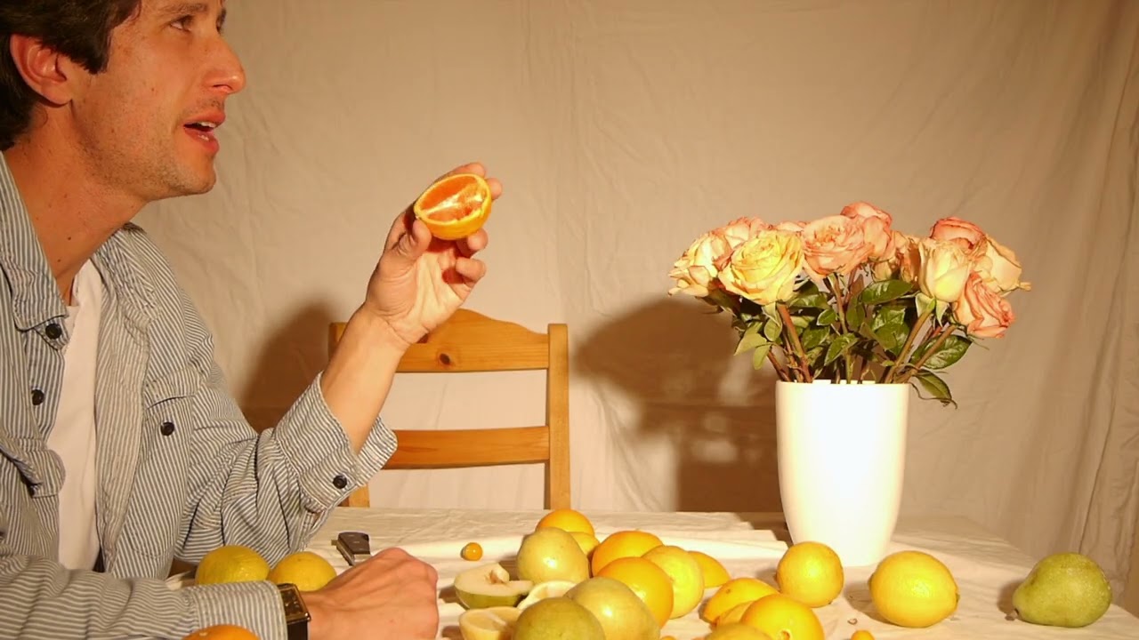 Julian Never  - Anything (Official Video)