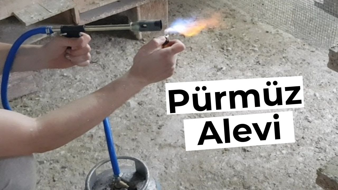 Pürmüz Alevi ile Kümes Temizliği | Puri Flame | Puffer