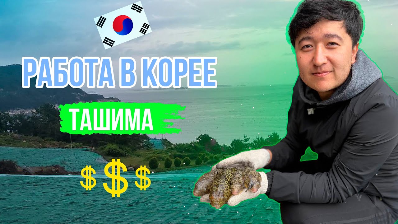 САМАЯ АДСКАЯ РАБОТА В КОРЕЕ? Мой опыт работы на ТАШИМЕ