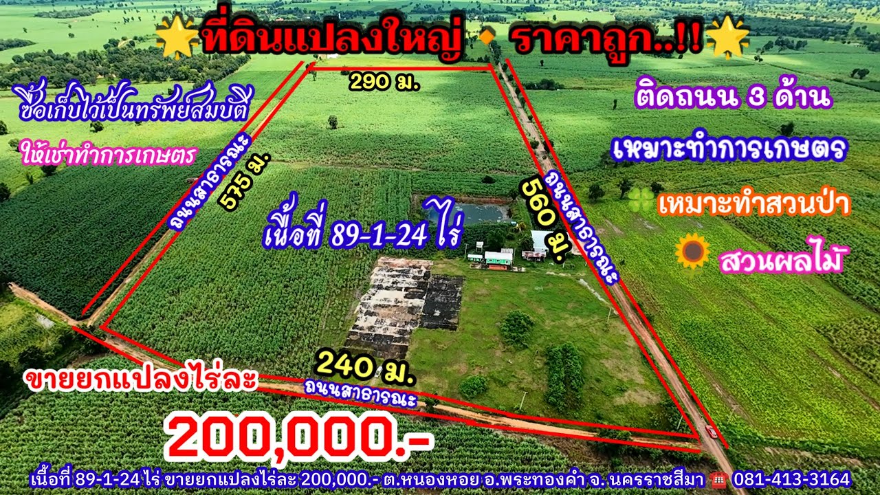 Ep.1674 แปลงใหญ่ ติดถนน 3 ด้าน มีครบทุกอย่าง  ราคาถูก โฉนด 89-1-24 ไร่ อ.พระทองคำ นครราชสีมา