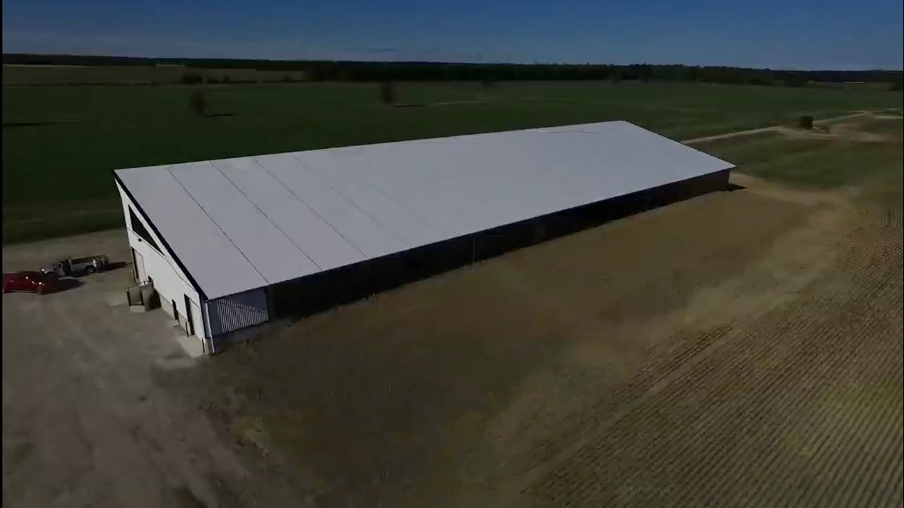 Visiting Chris Byers and his We Cover shed + his cattle