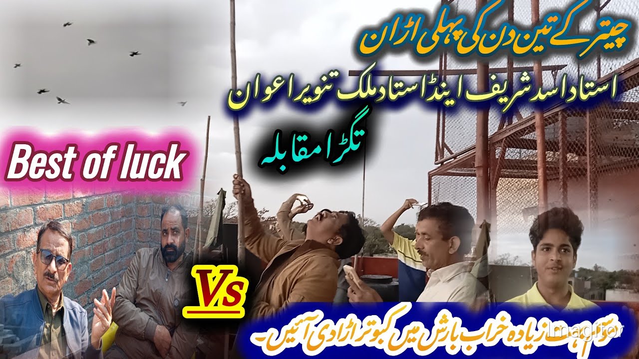 تگڑا مقابلہ موسم بہت زیادہ خراب بارش میں کبوتر اڑا دیے ۔