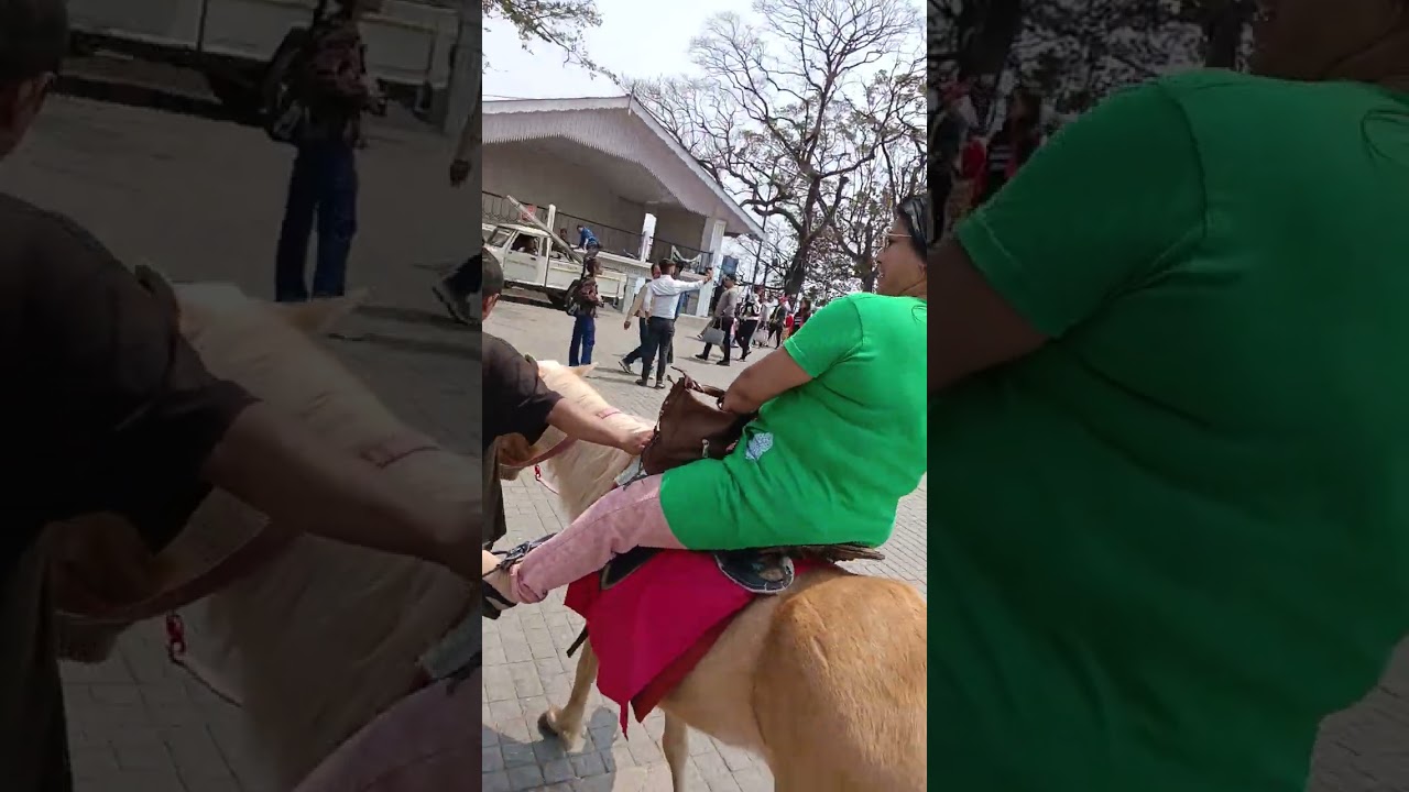 darjiling horse riding
