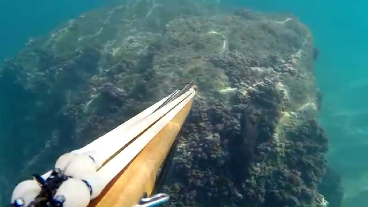 Pesca sub: Bassofondo e mimetismo estremo -Francisub-