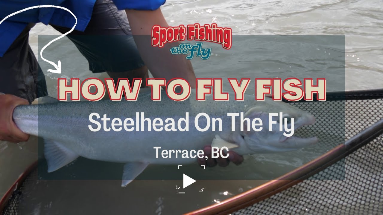 FLY FISHING: STEELHEAD ON THE FLY
