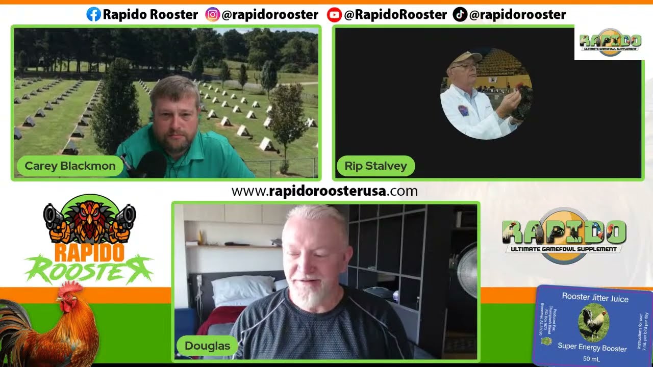 Rapido Live Gamefowl Conditioning w/ Douglas Bruce