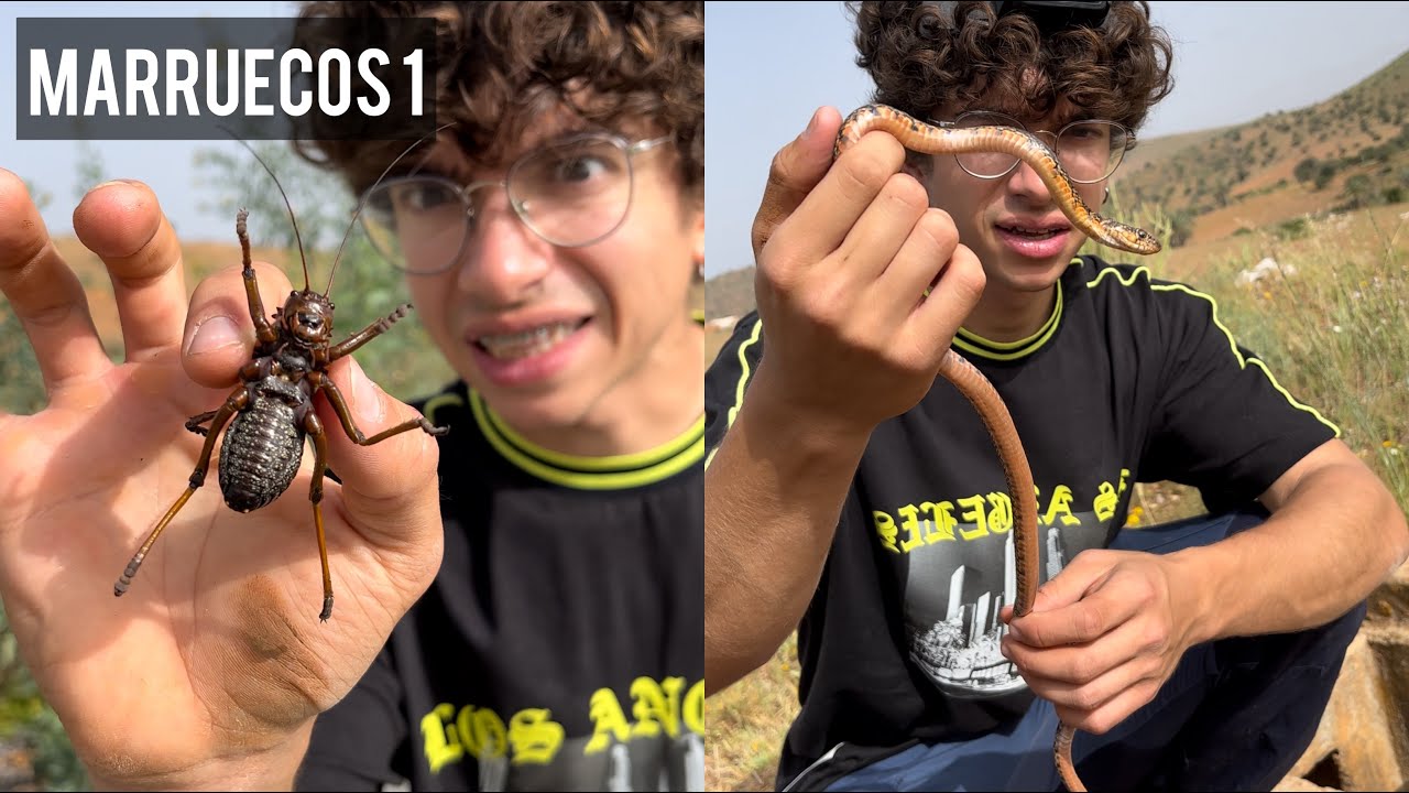 PARTE 1 Buscando animales en MARRUECOS | Me mordió una serpiente venenosa...