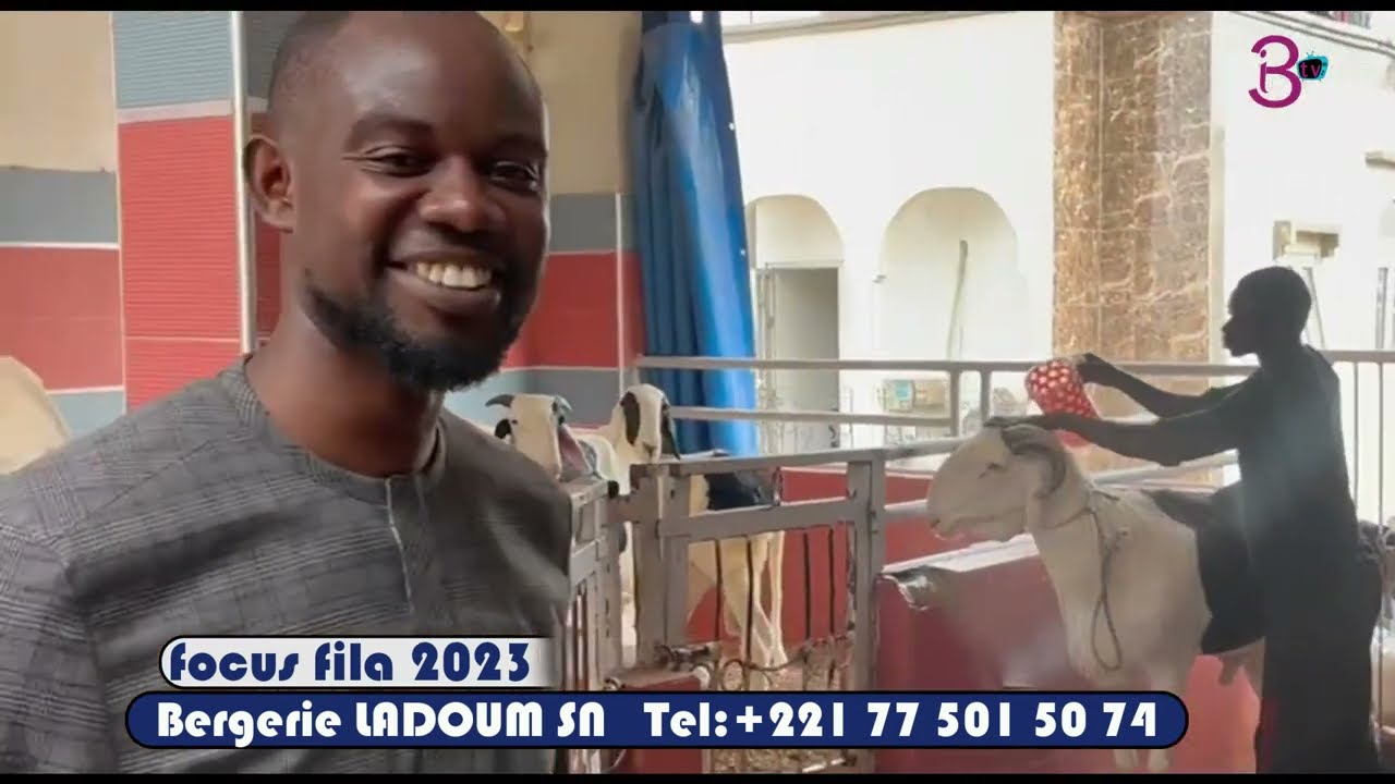 FOCUS FILA  AVEC BERG LADOUM SN