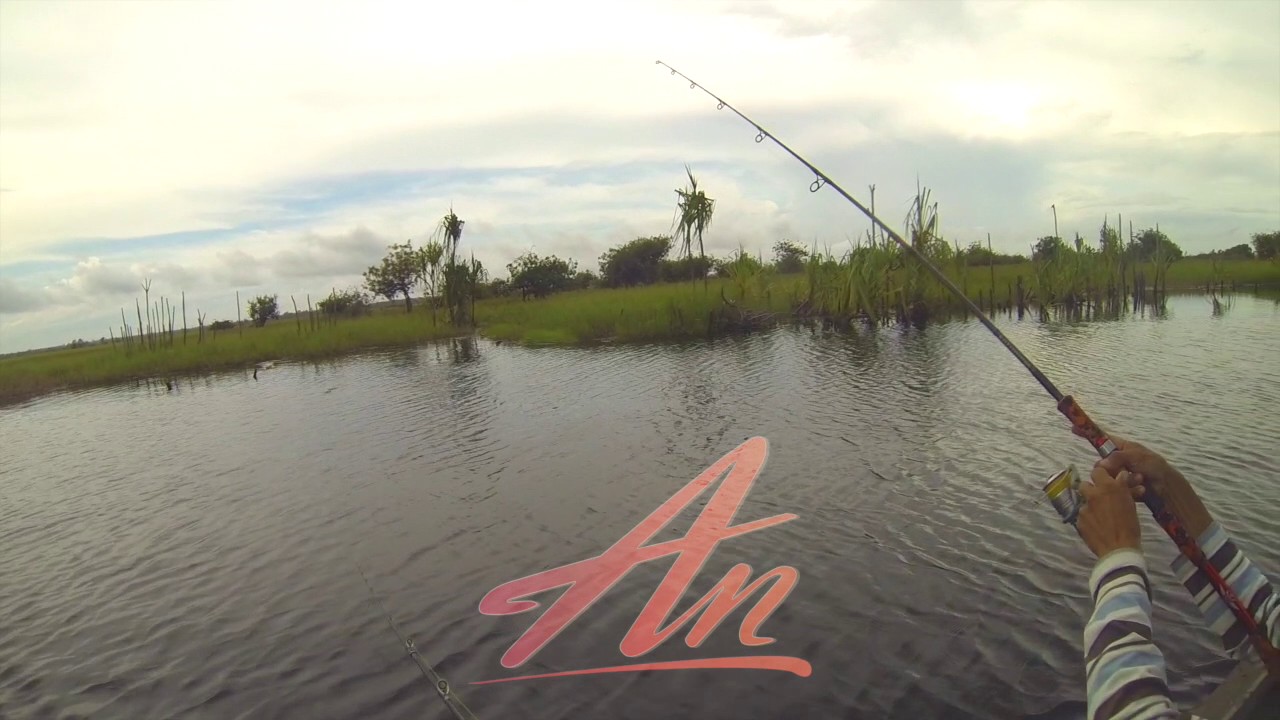 Giant Snakehead On AnLure Jump Frog Poke Poke