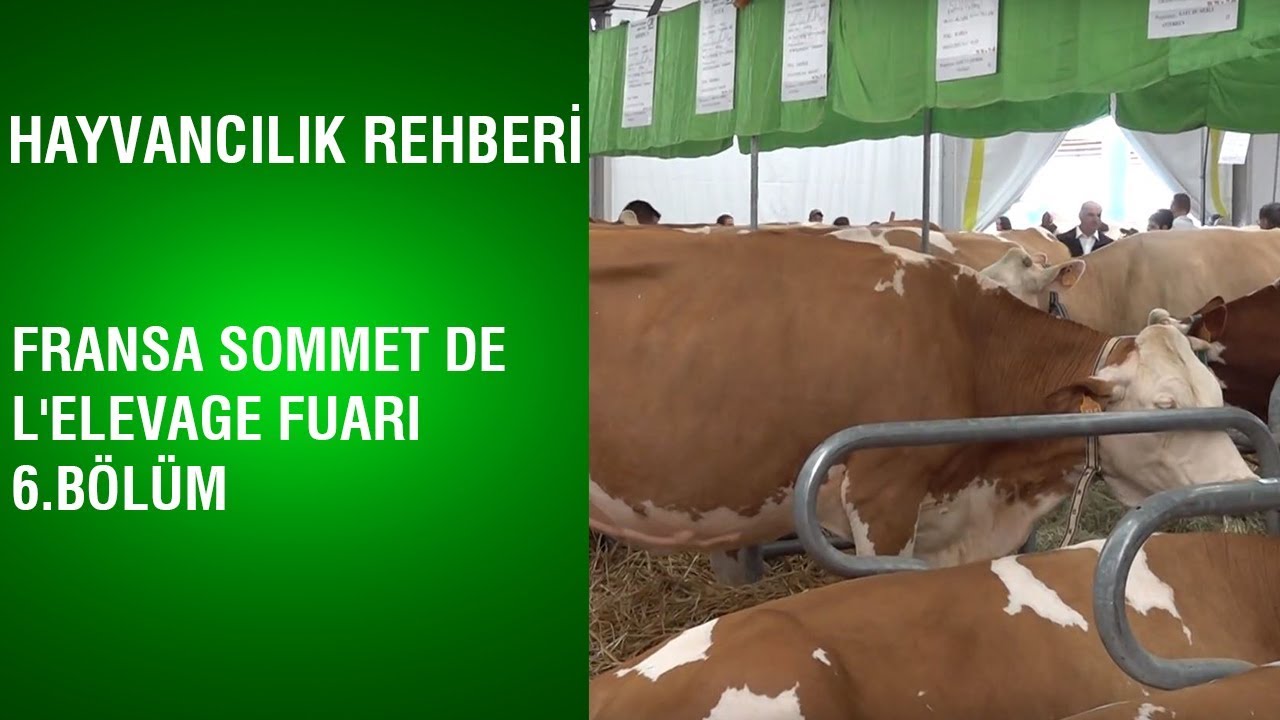 Hayvancılık Rehberi - Fransa Sommet De L'elevage Fuarı / 6.Bölüm