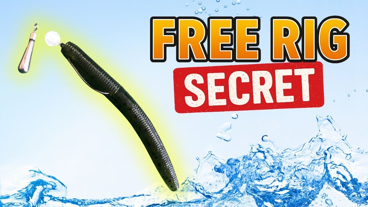 FREE RIG Secrets Bass Anglers MUST Know! | Bass Fishing 101