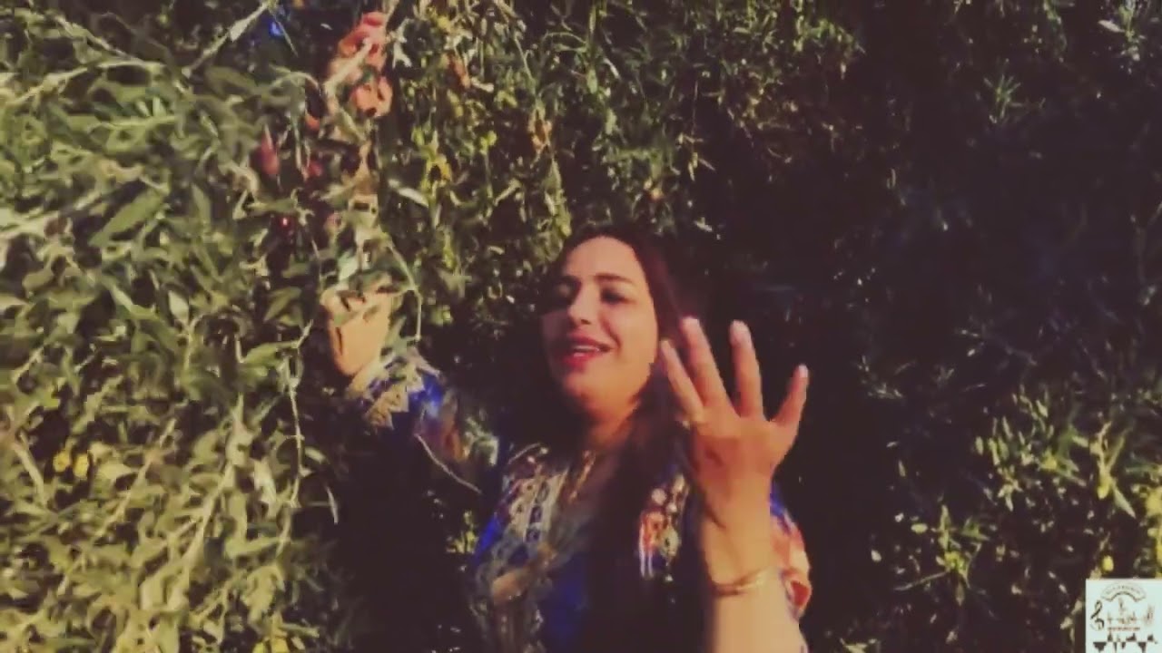 قصارة حية مع بلعيد حركات حبيبة تازوهريت عزيز شاكيري والمجموعة