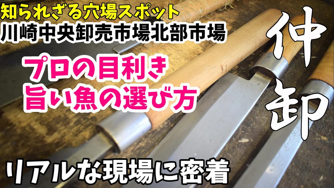 【プロに教わる魚の目利き】仲卸さんの10時間に密着～日本人の食卓に欠かせないお魚はどうやって私たちに届くのか～