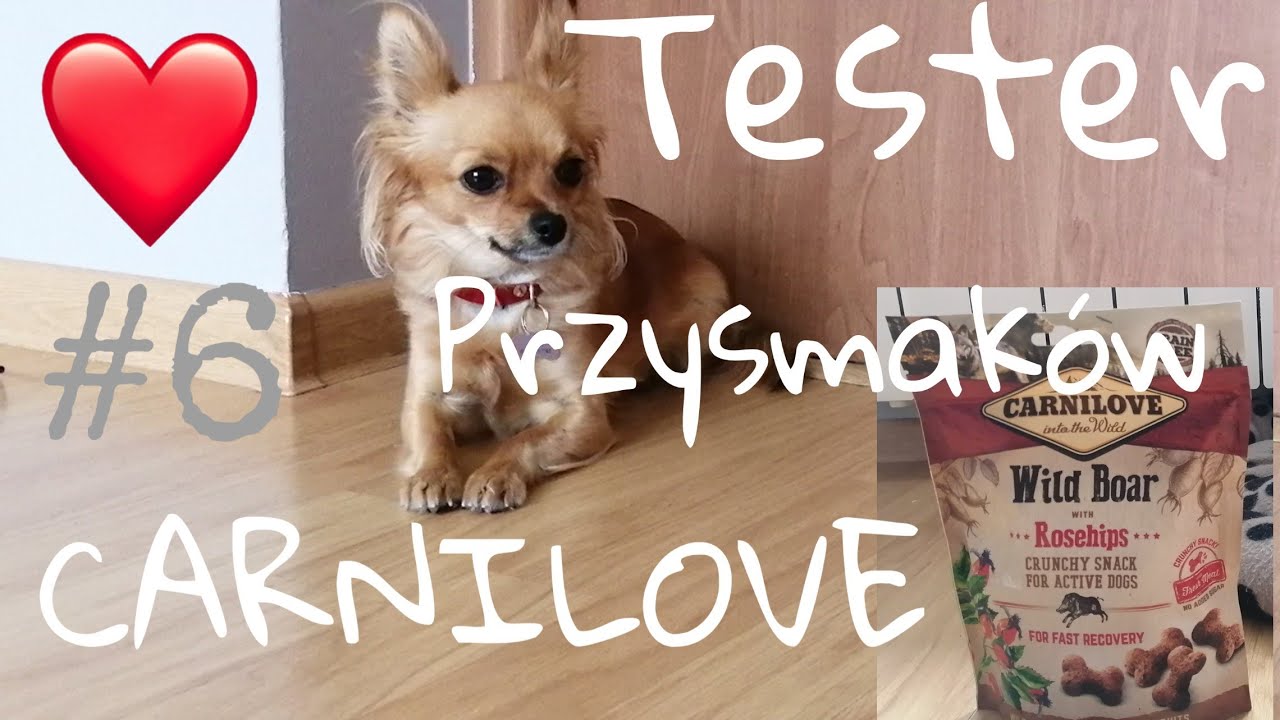 Tester #6 przekąski z CARNILOVE