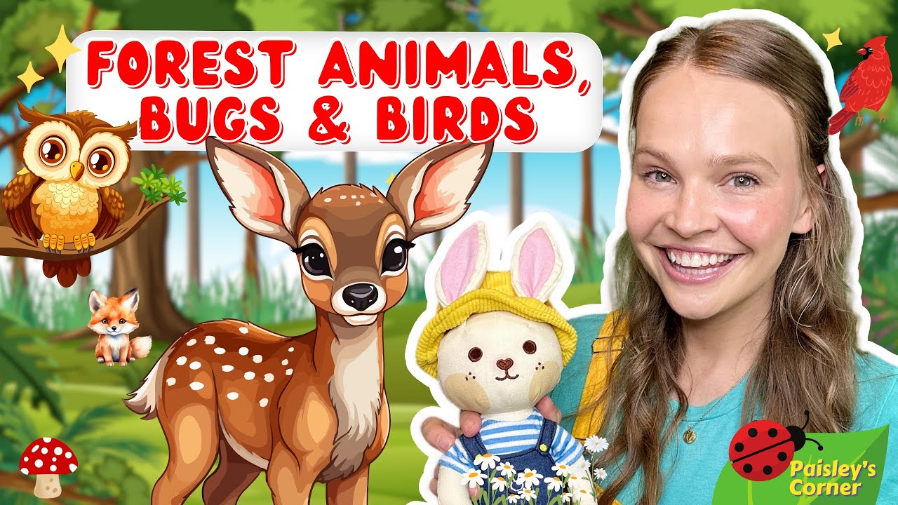 Learn Animals, Birds, & Bugs for Kids - Toddler Learning Video - Educational Video for Kids