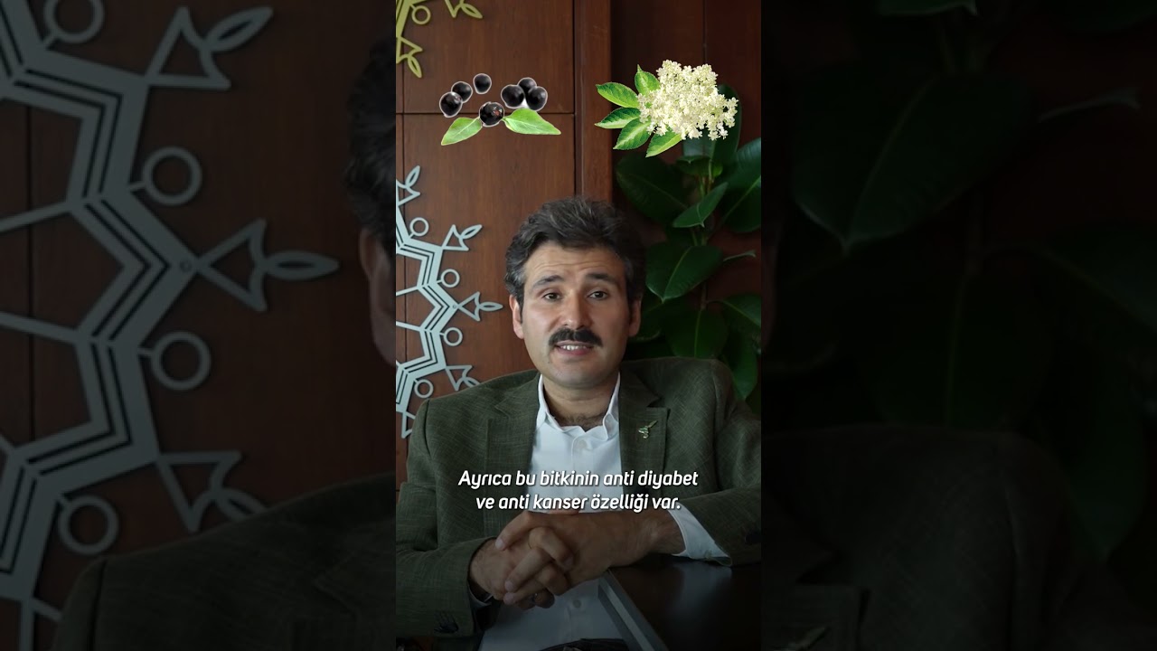 M&uuml;rver &ccedil;i&ccedil;eğinin bilinmeyen etkisi!Dr. Muammer Yıldız anlatıyor...
