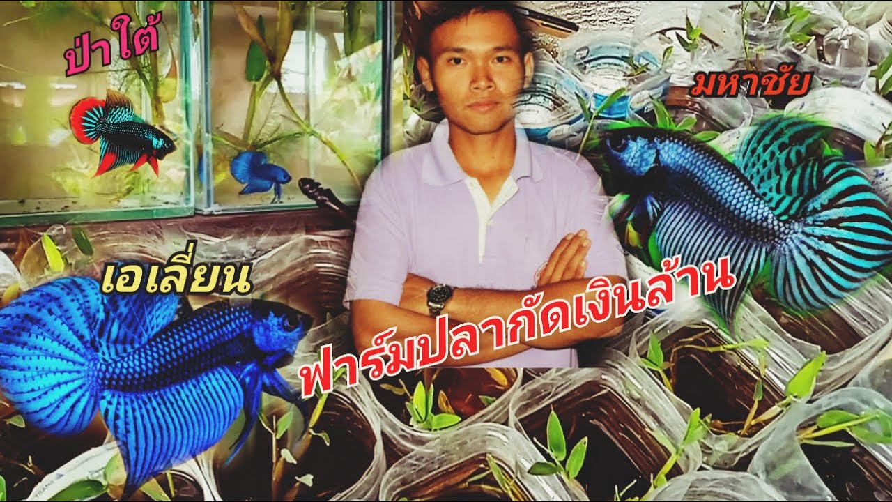 วัยรุ่น