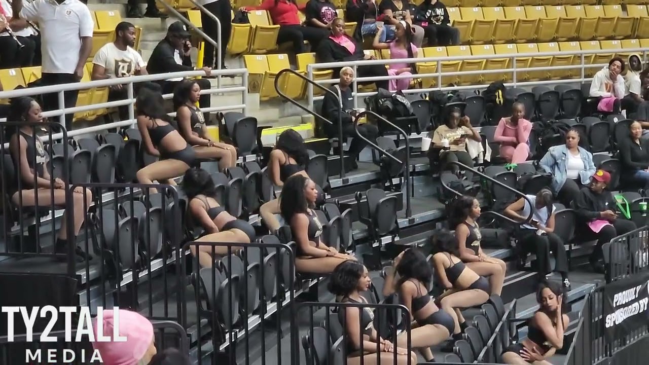 ASU Stingettes 2026 (basketball) - Caramel (MSVU) 