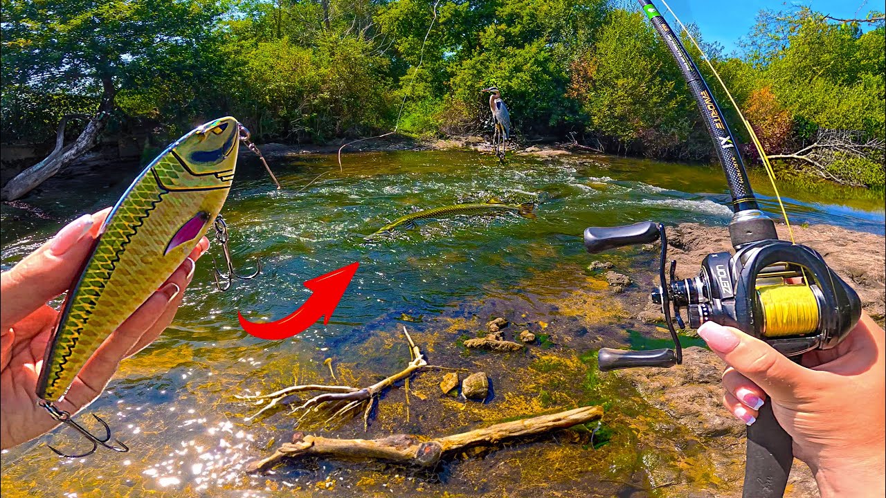 Je pêche avec ce leurre et il attire tous les poissons de cette rivière d'eau cristalline !!!