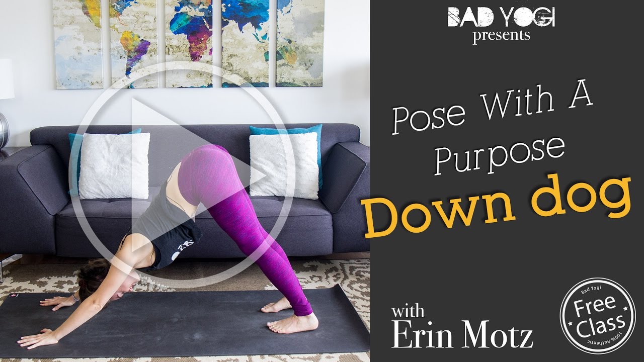 Pose With A Purpose: Yoga Down Dog Breakdown (Beginner/Intermediate)