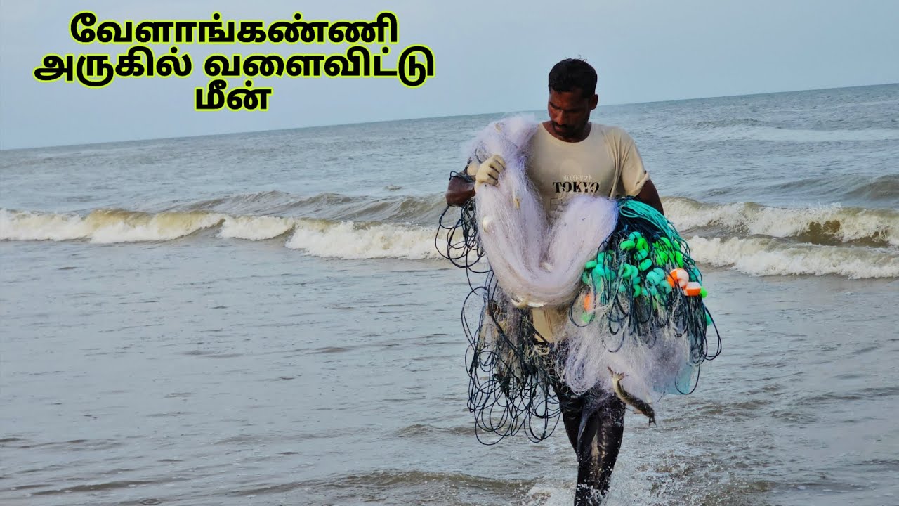 வேளாங்கண்ணி அருகில் வளைவிட்டு மீன் பிடிக்கும் மீனவ நண்பர்.. பலவிதமான மீன்கள் 