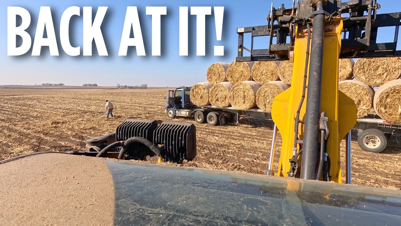 Hauling the LAST Cornstalk Bales Home