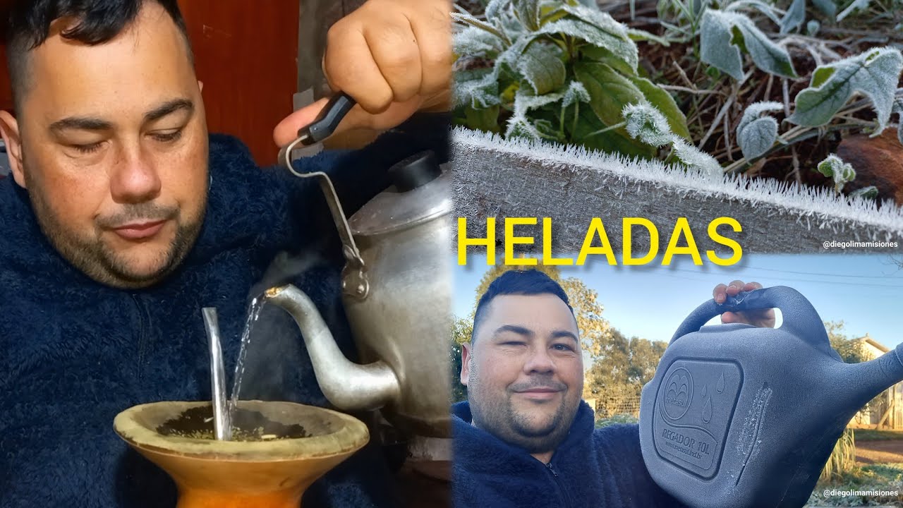 Haciendo Fuego en la COCINA a LE&Ntilde;A🧉 mi Huerta con Heladas Intensas