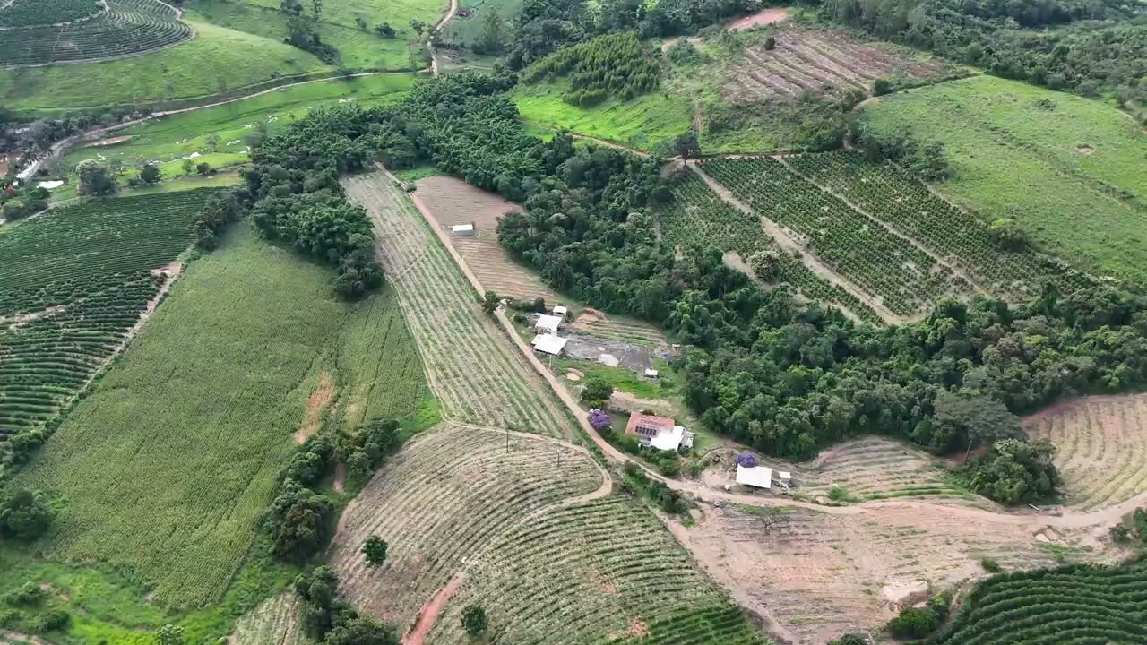 Café e natureza, Caconde SP, município com maior área de café do estado de São Paulo 