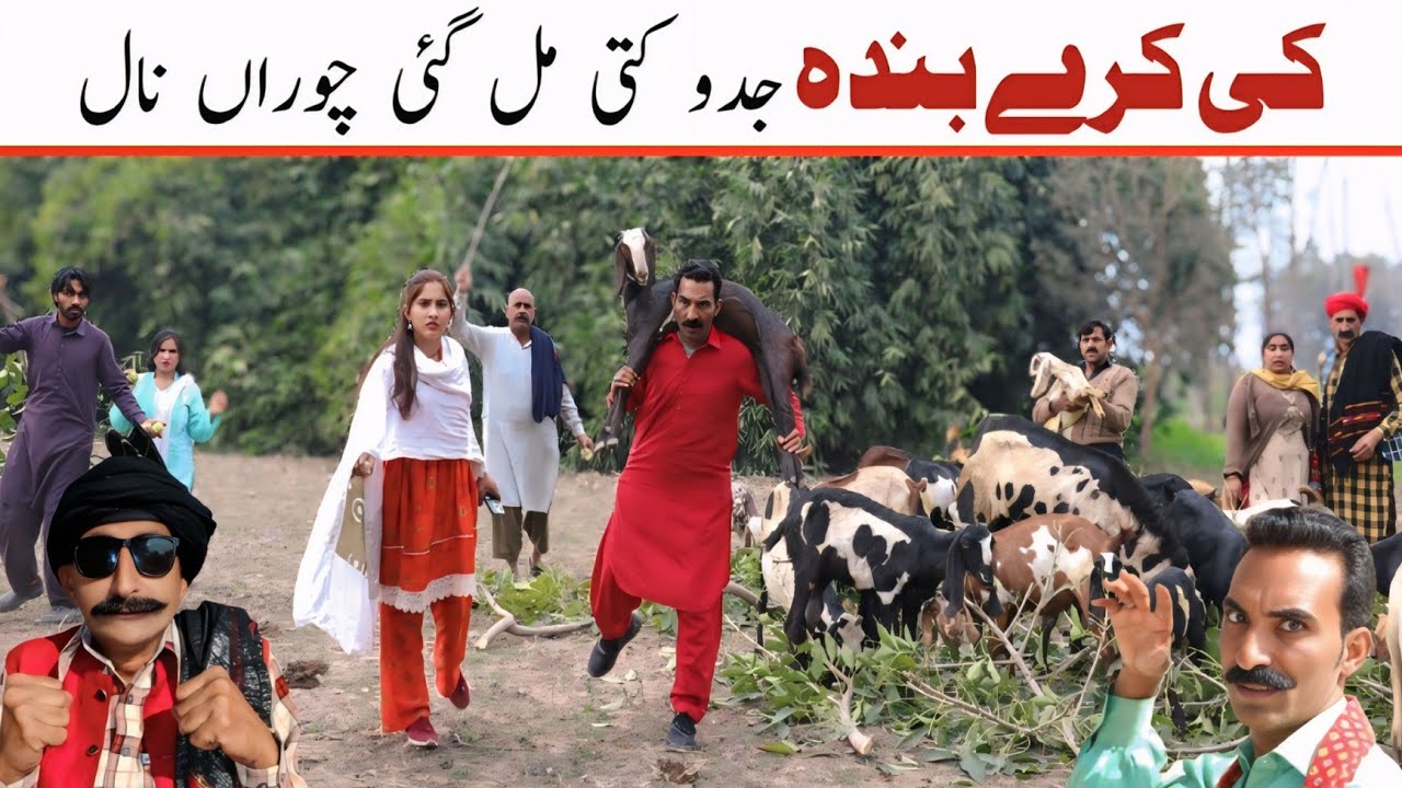 WAANS || Jagga ,CH Kukki , Soniya Jatti , Chuppi Jutt , chan ,Nahna, Noori., Asiya ... 