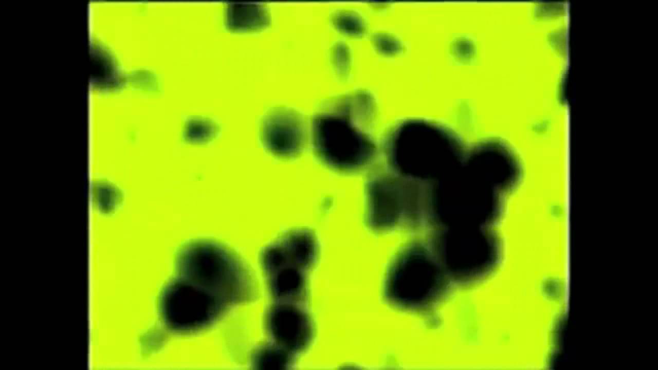 FTP06 - Cellule impertinenti
