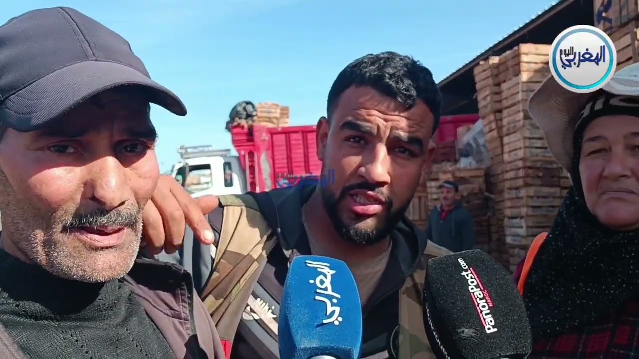 تجار 