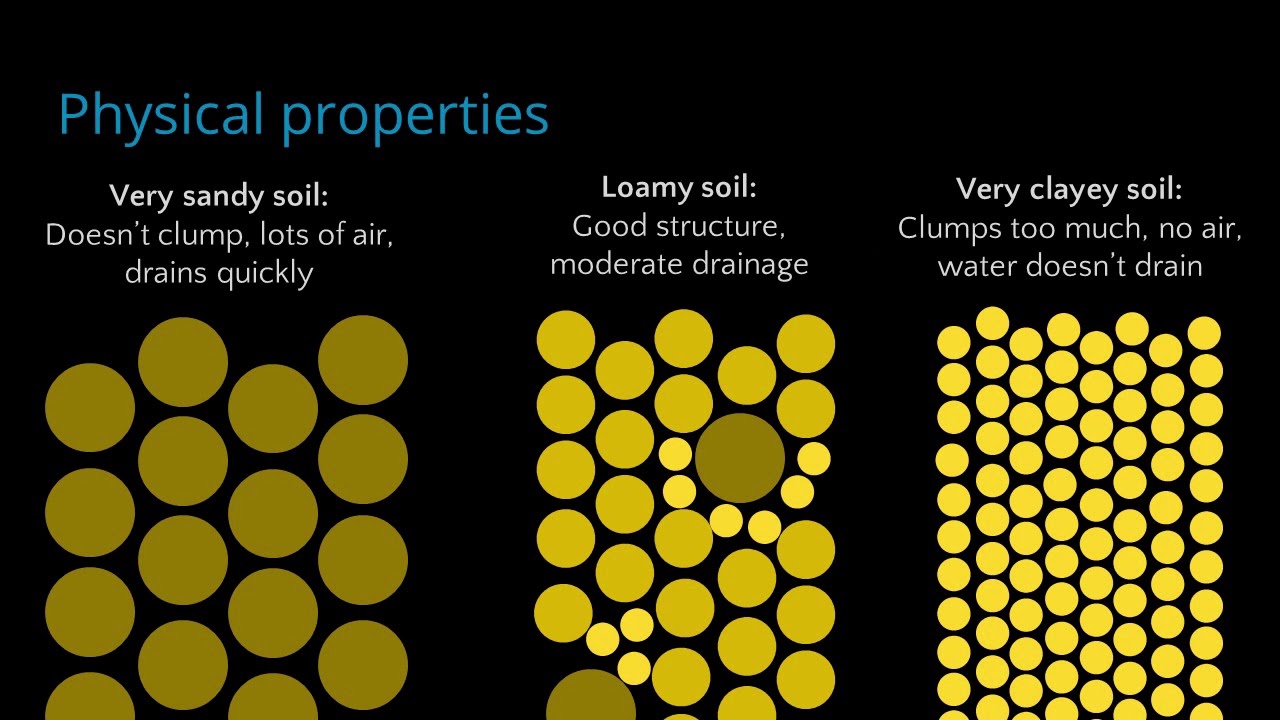 Basic Soil Science for Gardeners