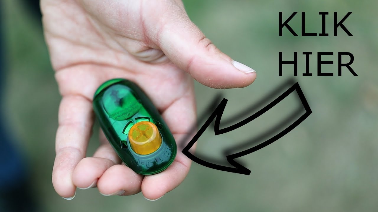 Waarom ik clickertraining bij honden aanraad