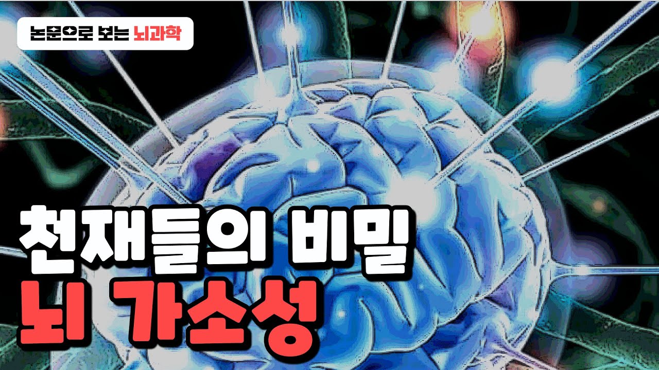 이렇게 뇌를 써야 뇌가 발달합니다