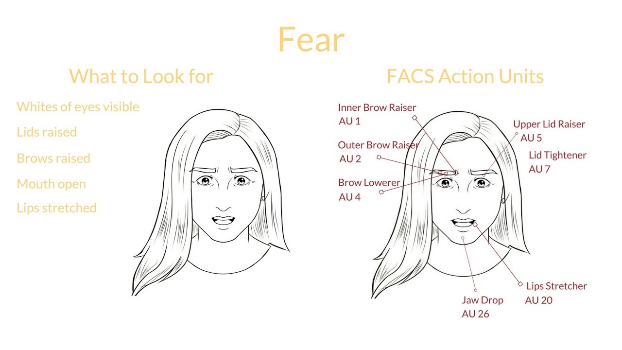 Universal facial expressions of emotion