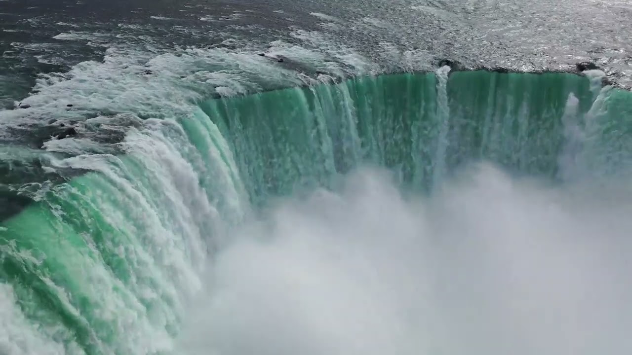 beautiful lack in a water 😱🌊