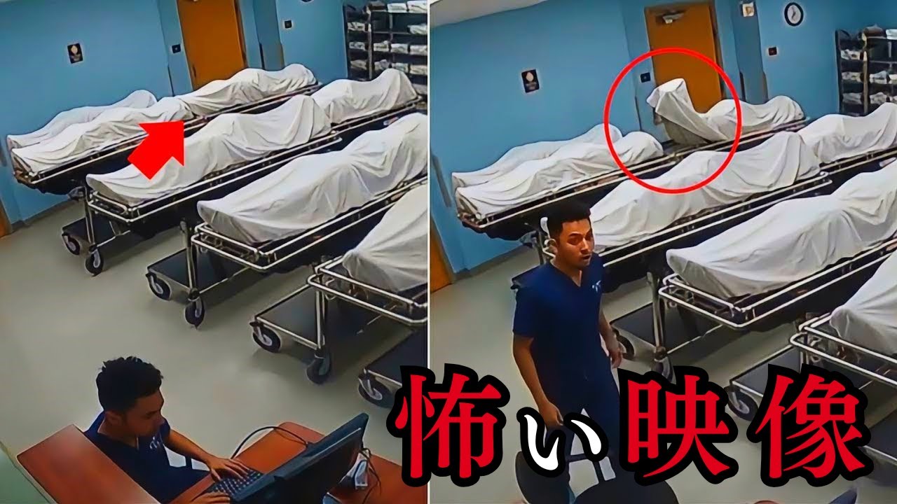【心霊＆恐怖映像】監視カメラが捉えた映ってはいけない映像！？&hellip;起き上がる〇体