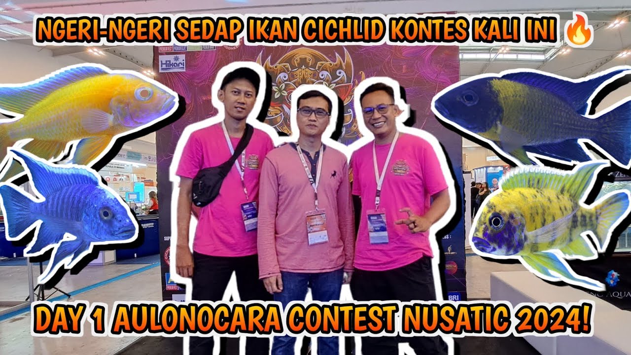 DAY ONE NUSATIC 2024! KONTES CICHLID TAHUN INI NGERI NGERI SEDAP IKAN PROGRESNYA!  LEBIH KEREN SIH🫰👍